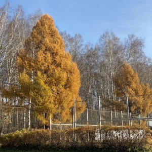 Фото от владельца Политехник, стадион