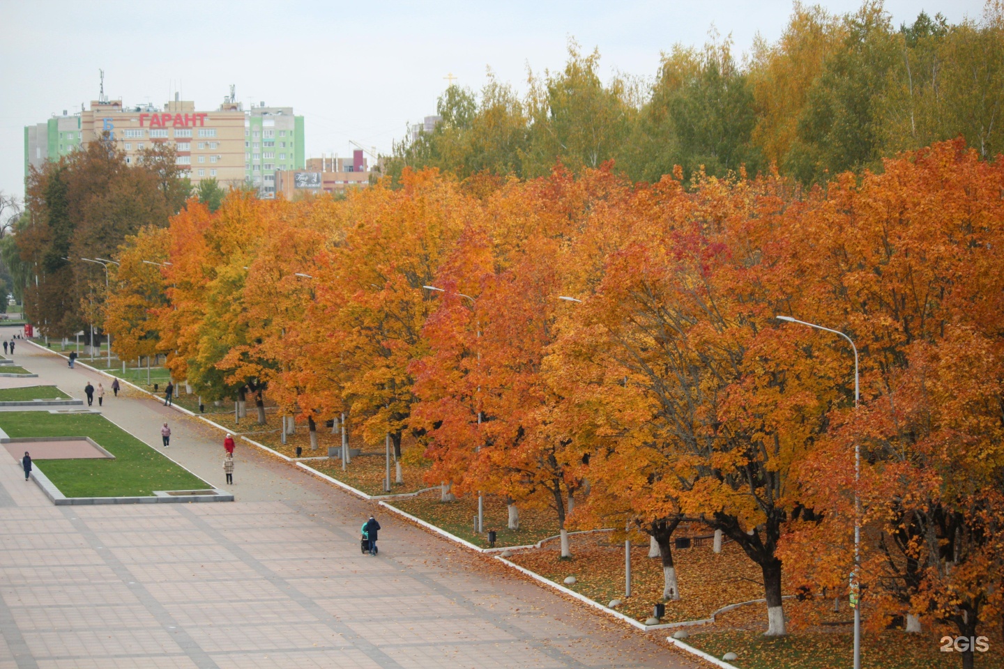 Центральный парк культуры и отдыха брянск