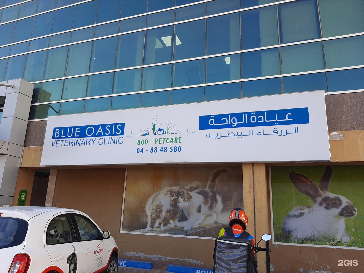 Blue Oasis, veterinary clinic, Arjumand Building, 43, Dubai Investment Park  Ring Street, Dubai — 2GIS