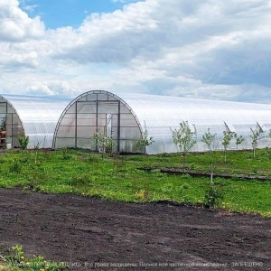 Фото от владельца Завод готовых теплиц