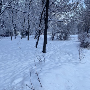 Фото от владельца Сокольники, парк культуры и отдыха