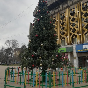 Фото от владельца Краснодар, универмаг