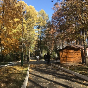 Фото от владельца Лакреевский лес, центральный парк культуры и отдыха