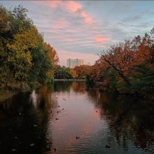 Фото от владельца Городской парк