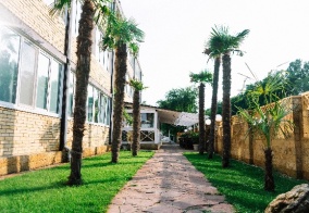 Отель Dublin Dolphin в Анапе