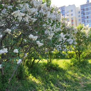 Фото от владельца Парк культуры и отдыха