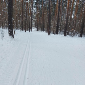 Фото от владельца Первая городская лыжня, лыжная база