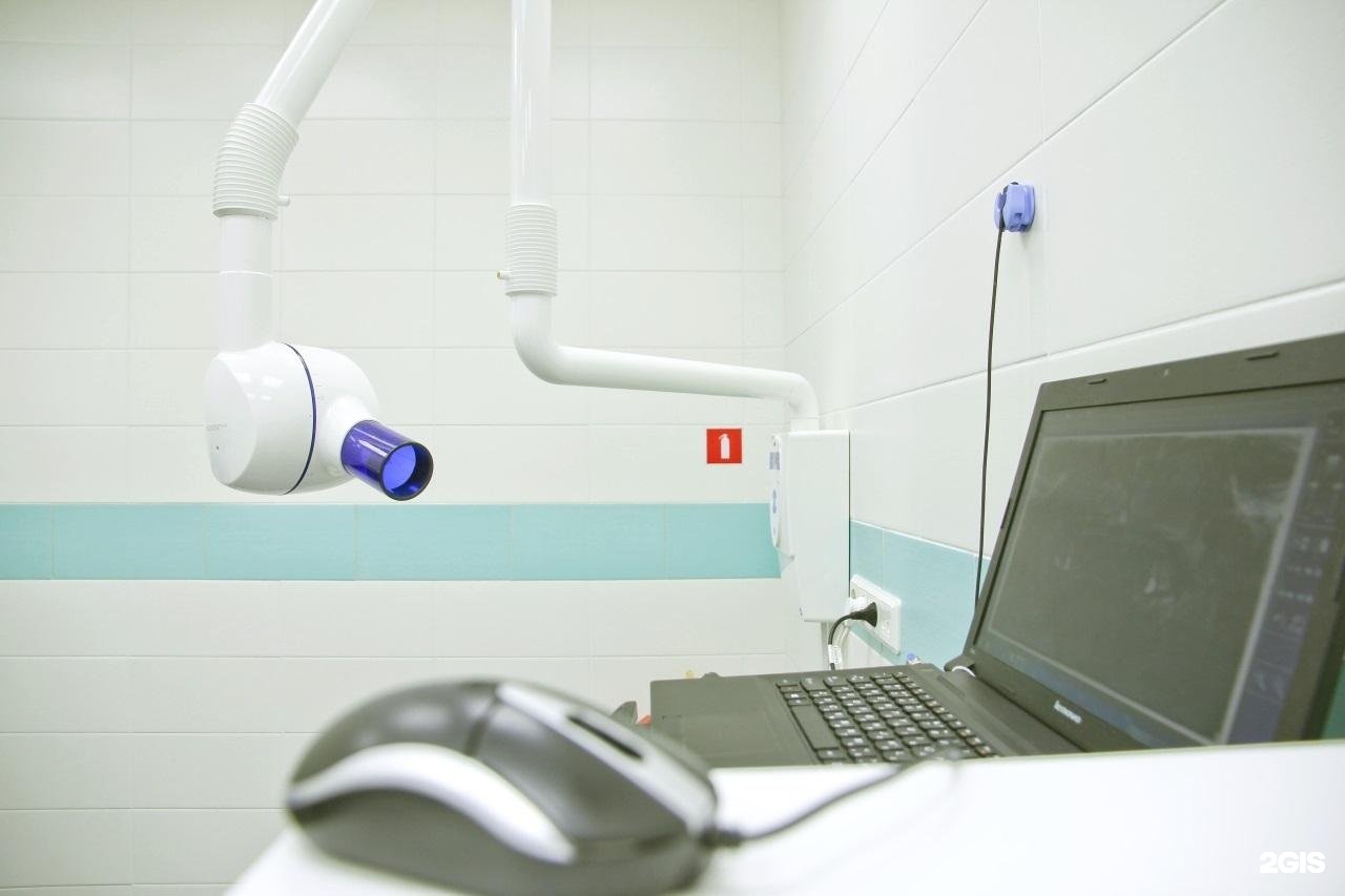 мой зубной стоматология колпино. мой зубной тазаева 7. тазаева 7 мой зубной. стоматология колпино ленина 75. мой зубной тверская колпино.