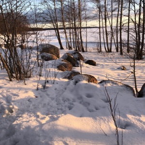 Фото от владельца Дубки, парк культуры и отдыха