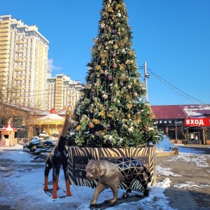 Фото от владельца Центр города, торговый комплекс