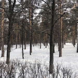 Фото от владельца Центральный парк культуры и отдыха им. Ю.А. Гагарина