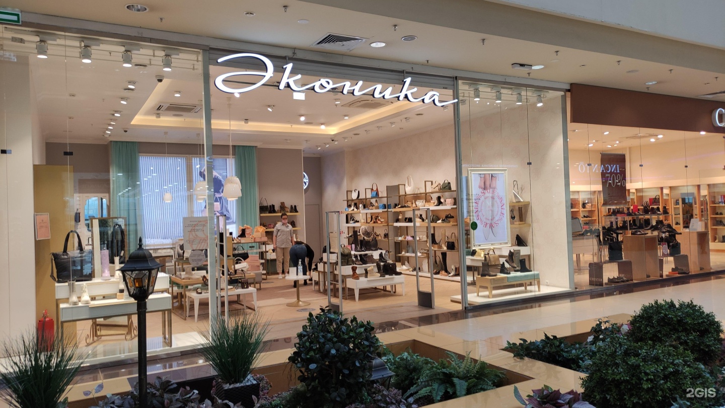 Эконика спб. Эконика обувь женская. Ботильоны эконика alla pugachova ap1729-21 white-18z. Эконика фантастика нижний новгород. Туфли боты эконика.