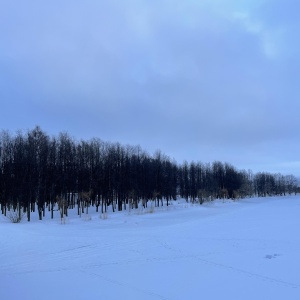 Фото от владельца Парк культуры и отдыха, г. Колпино