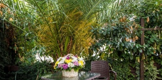 Сириус: Коттедж Galla