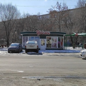 Фото от владельца Сеть цветочных салонов, ИП Гусейнов Д.Д.