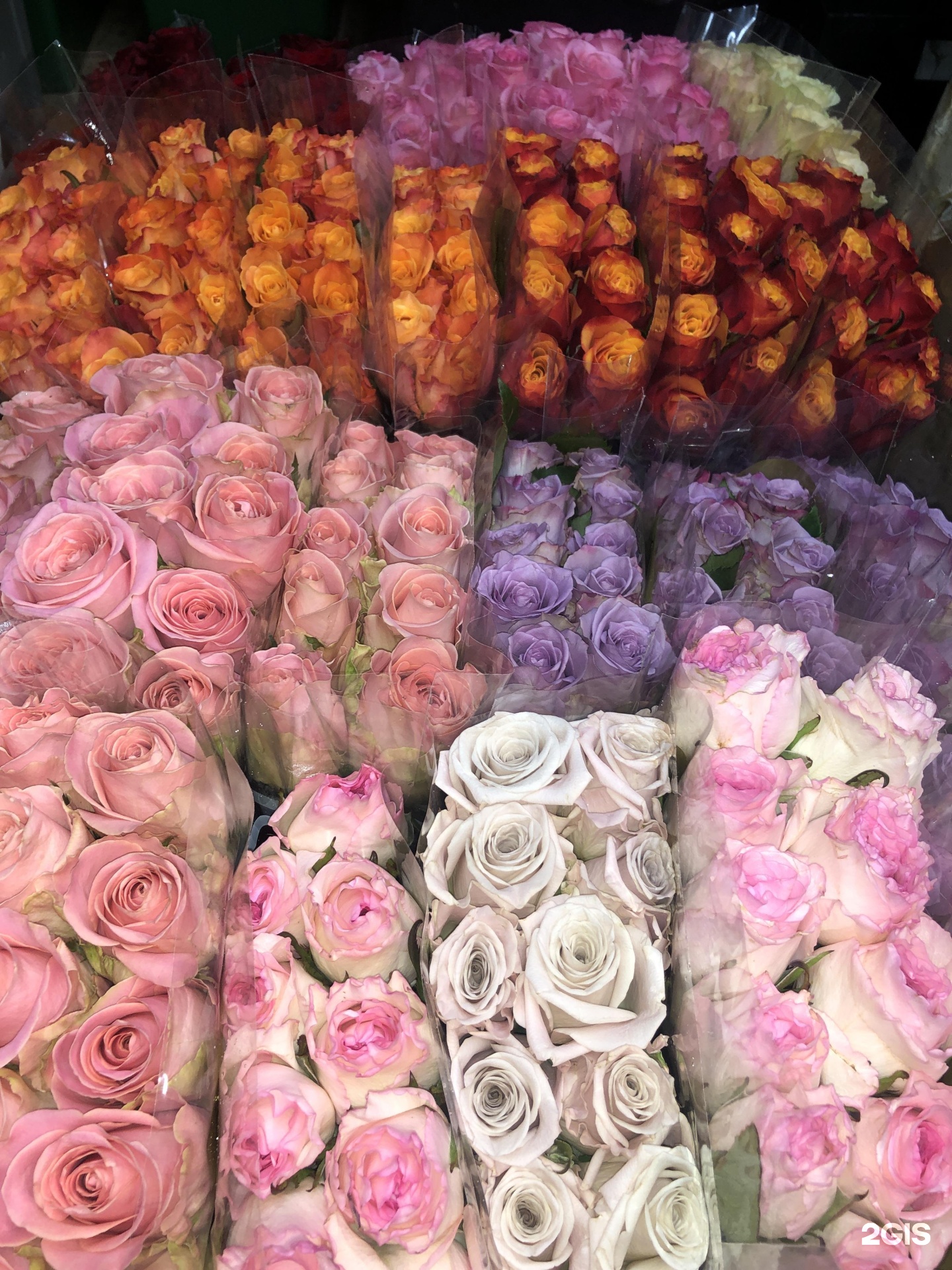 Купить розы в москве с доставкой дешево. Склад цветов. Оптовый цветочный склад. Оптовые базы цветов. Цветы на складе.