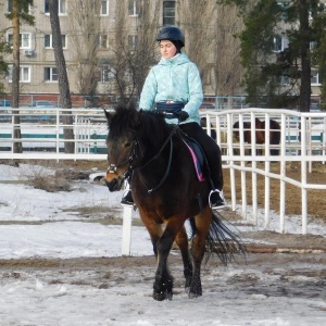 Фото от владельца Фаворит, детская школа верховой езды