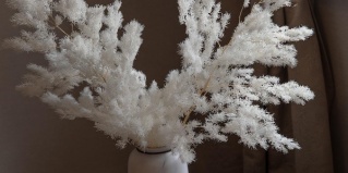 Ростов-на-Дону: Отель Panfilof