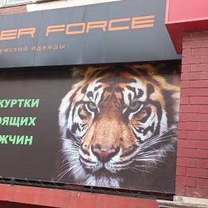 Фото от владельца Tiger Force, магазин мужской одежды