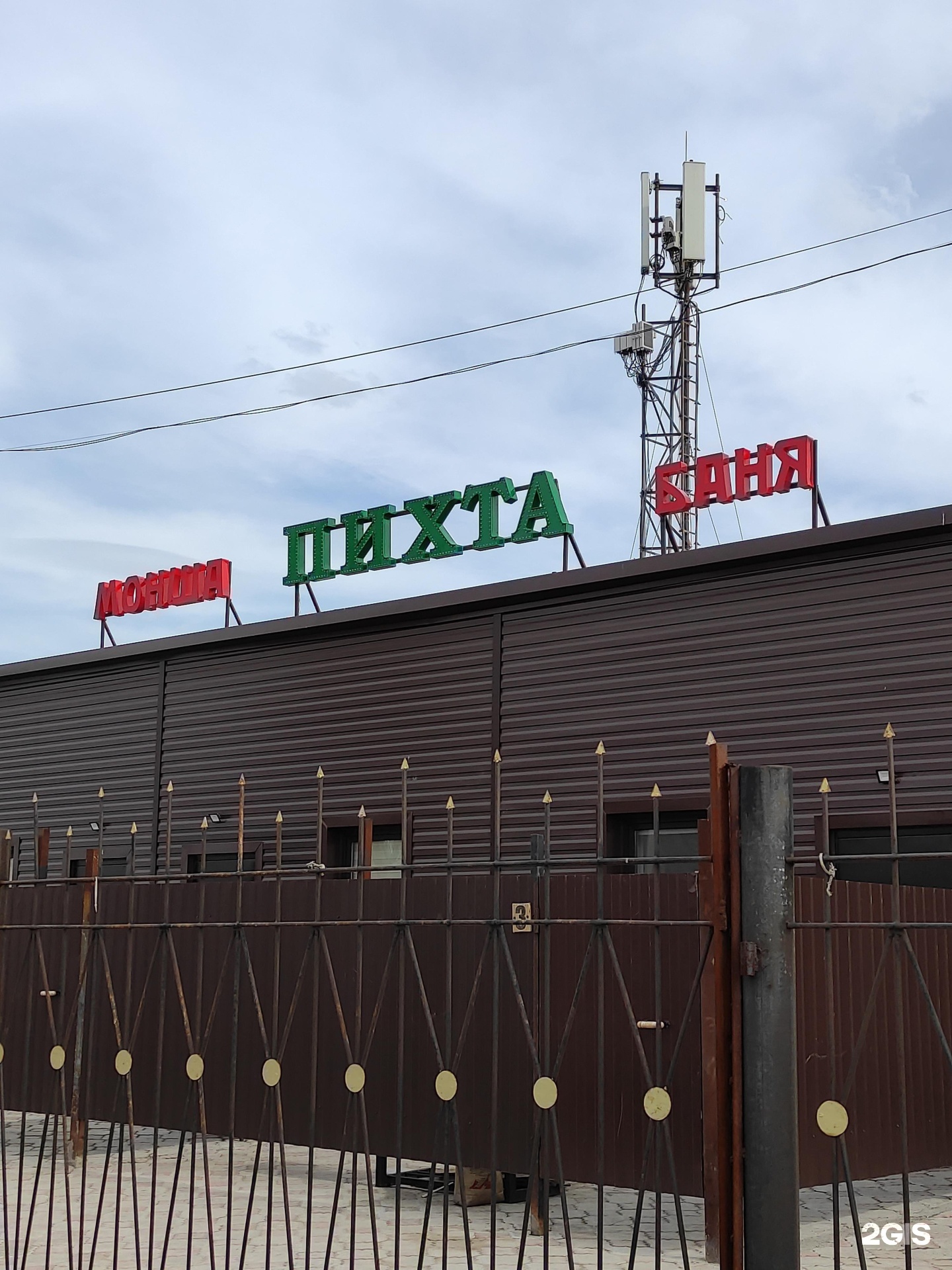 Пихта