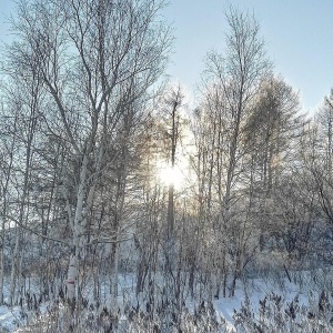 Фото от владельца Снежинка, лыжная база