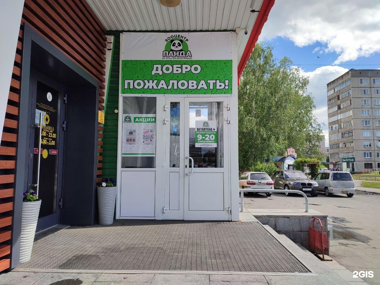 панда новоалтайск. 1). большая панда. панда новоалтайск. панда рисунок пастелью.