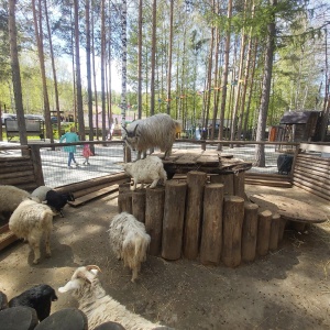 Фото от владельца Абзаково, ООО, зоопарк