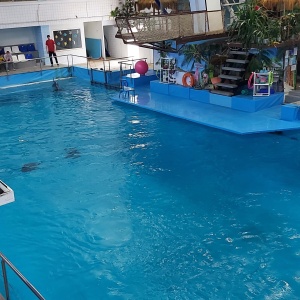 Фото от владельца Набережночелнинский дельфинарий