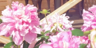 Чемал: Коттедж Цветы Алтая