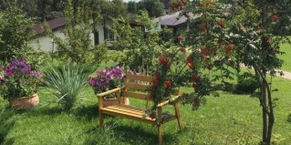 Нововолково: Турбаза Хуторок