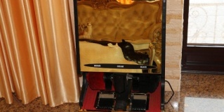 Воронеж: Отель Замок Короля