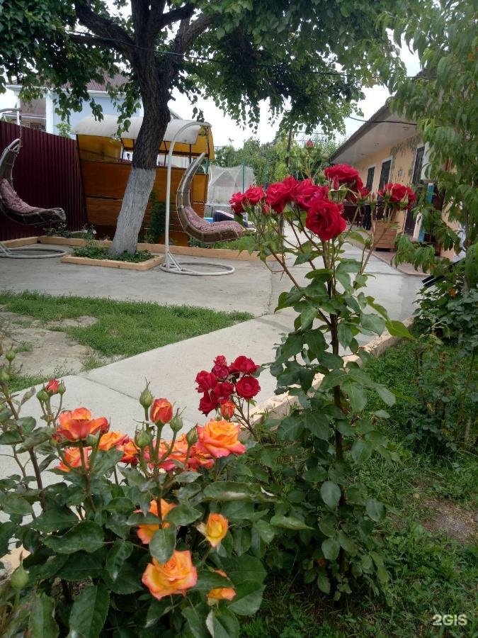 Кипр витязево. Гостевой дом панжик витязево. санни хаус поповка.