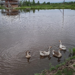 Фото от владельца Мишкина берлога, база отдыха