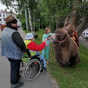 Фото от владельца Каприоль, конный клуб