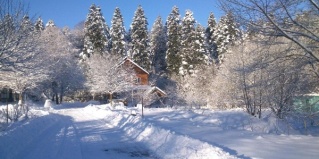 Апшеронский район: Отель Пихтовый бор