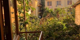 Адлер: Гостевой дом Райский дворик