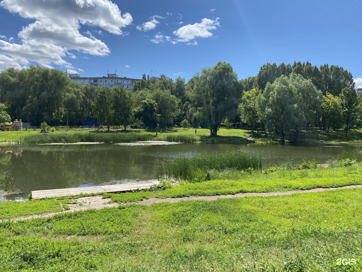 Воронежские озера. Воронежские озера Самара. Парк воронежские озера. Парк с озером в Самаре. Черное озеро Воронеж.