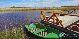 Янишполе: Турбаза Хитрый лис