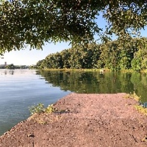 Фото от владельца Царицыно, парк культуры и отдыха