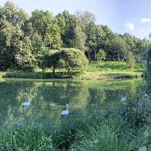 Фото от владельца Царицыно, парк культуры и отдыха