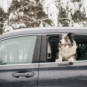 Фото от владельца Техцентр Гранд, автосалон Hyundai