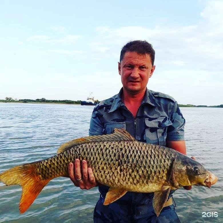 Заря основа