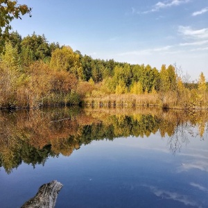 Фото от владельца Аргус, студия