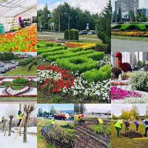 Фото от владельца Горзеленхоз, ОАО