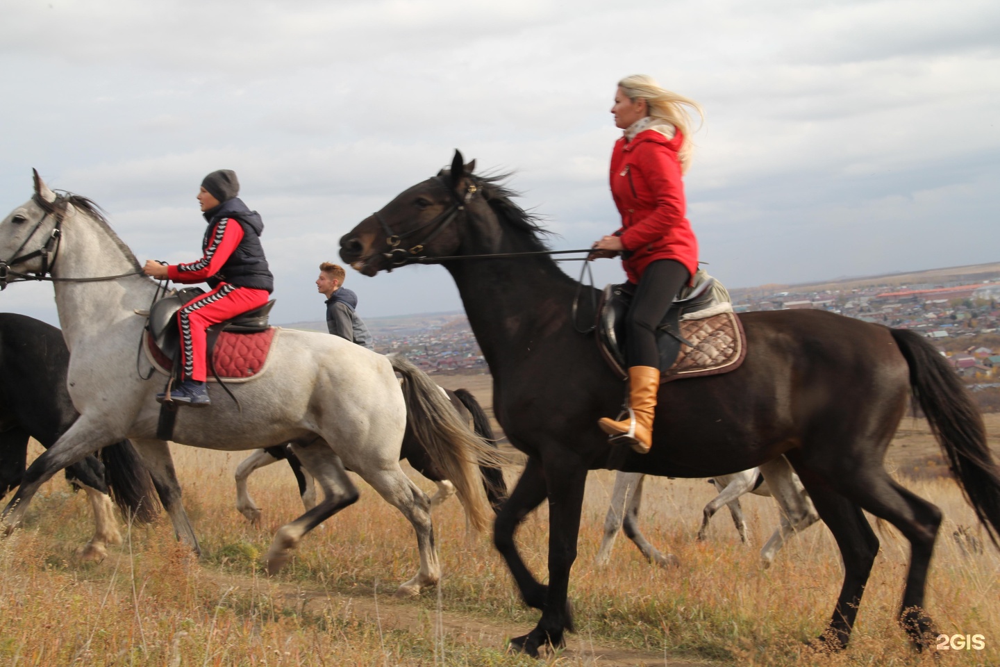 клуб лошадка красноярск