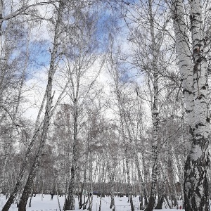 Фото от владельца Спартак, лыжная база