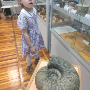 Фото от владельца Минералогический музей, Дальневосточный геологический институт ДВО РАН
