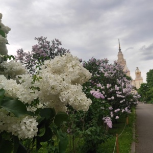 Фото от владельца Ботанический сад, МГУ им. М.В. Ломоносова