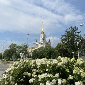 Фото от владельца ВДНХ, ОАО