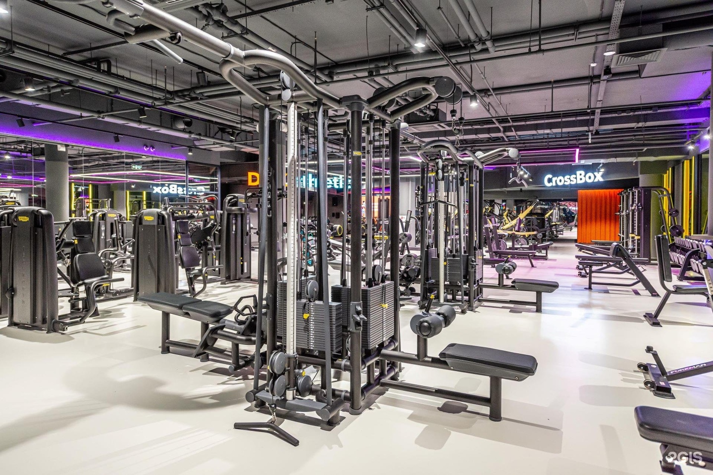 Клуб ddx fitness москва Клуб ddx fitness москва